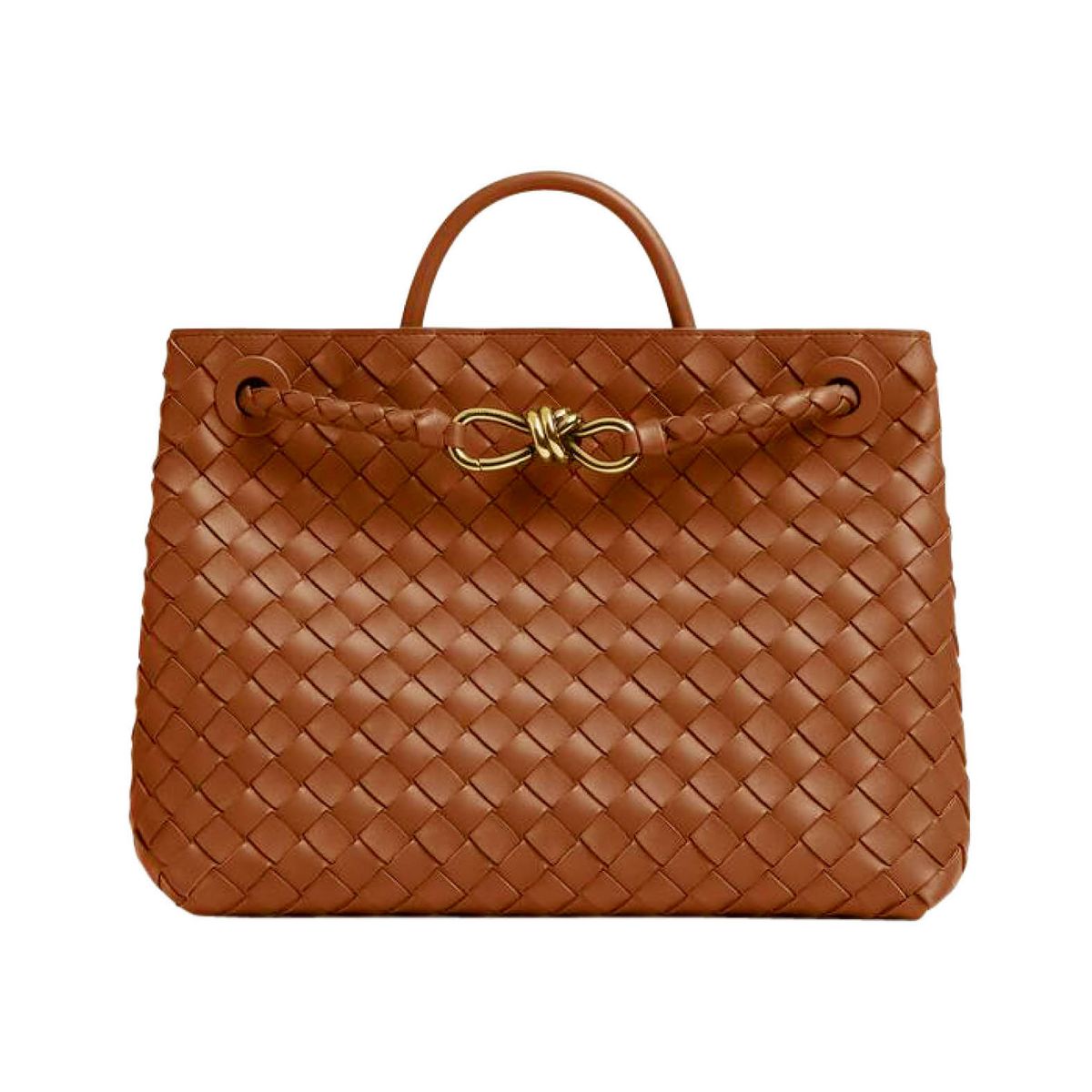 BOTTEGA VENETA medium andiamo bag