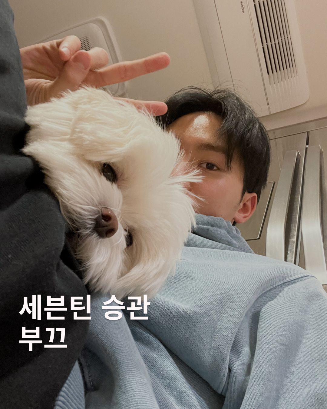 세븐틴 위버스