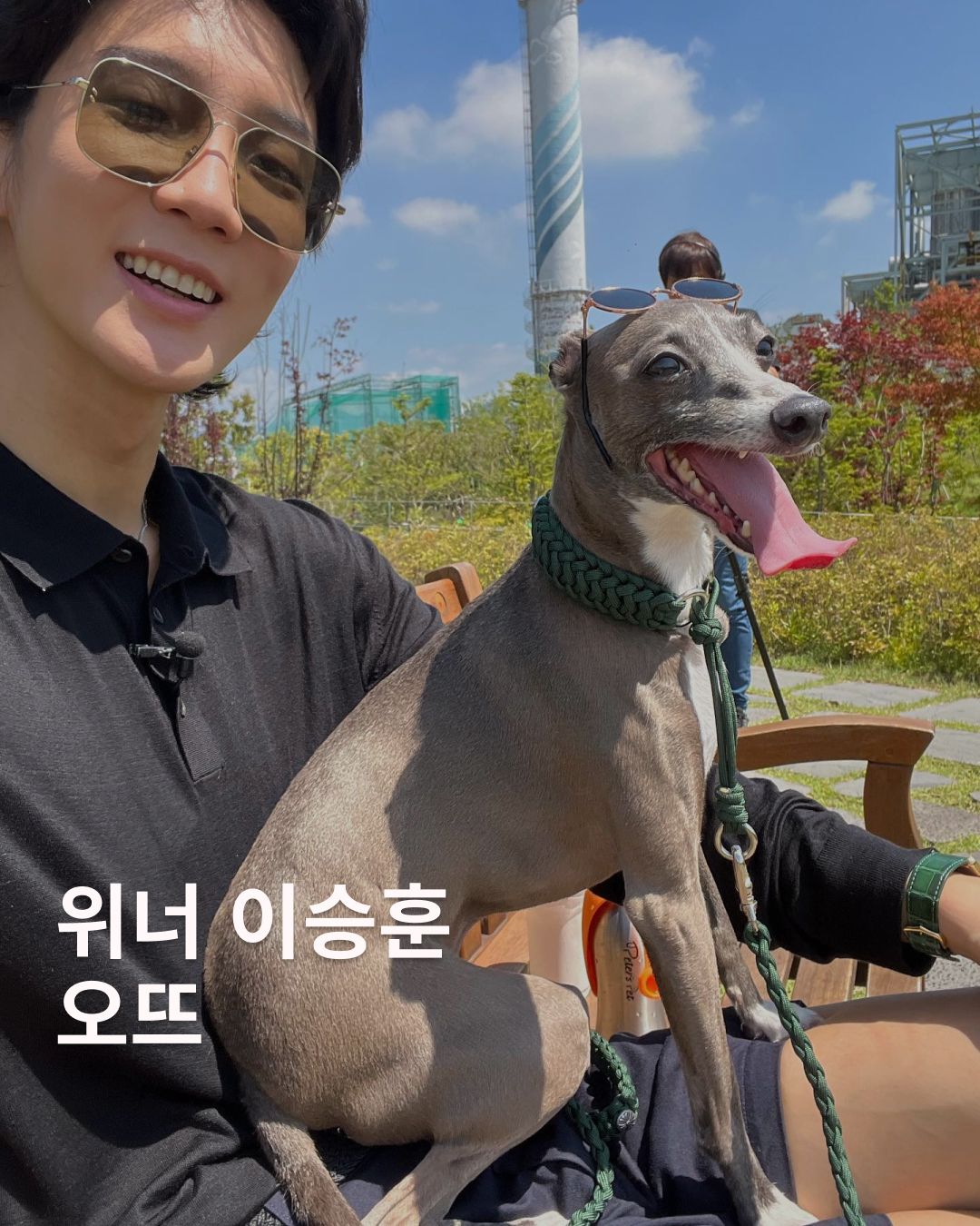@maetamongisdad