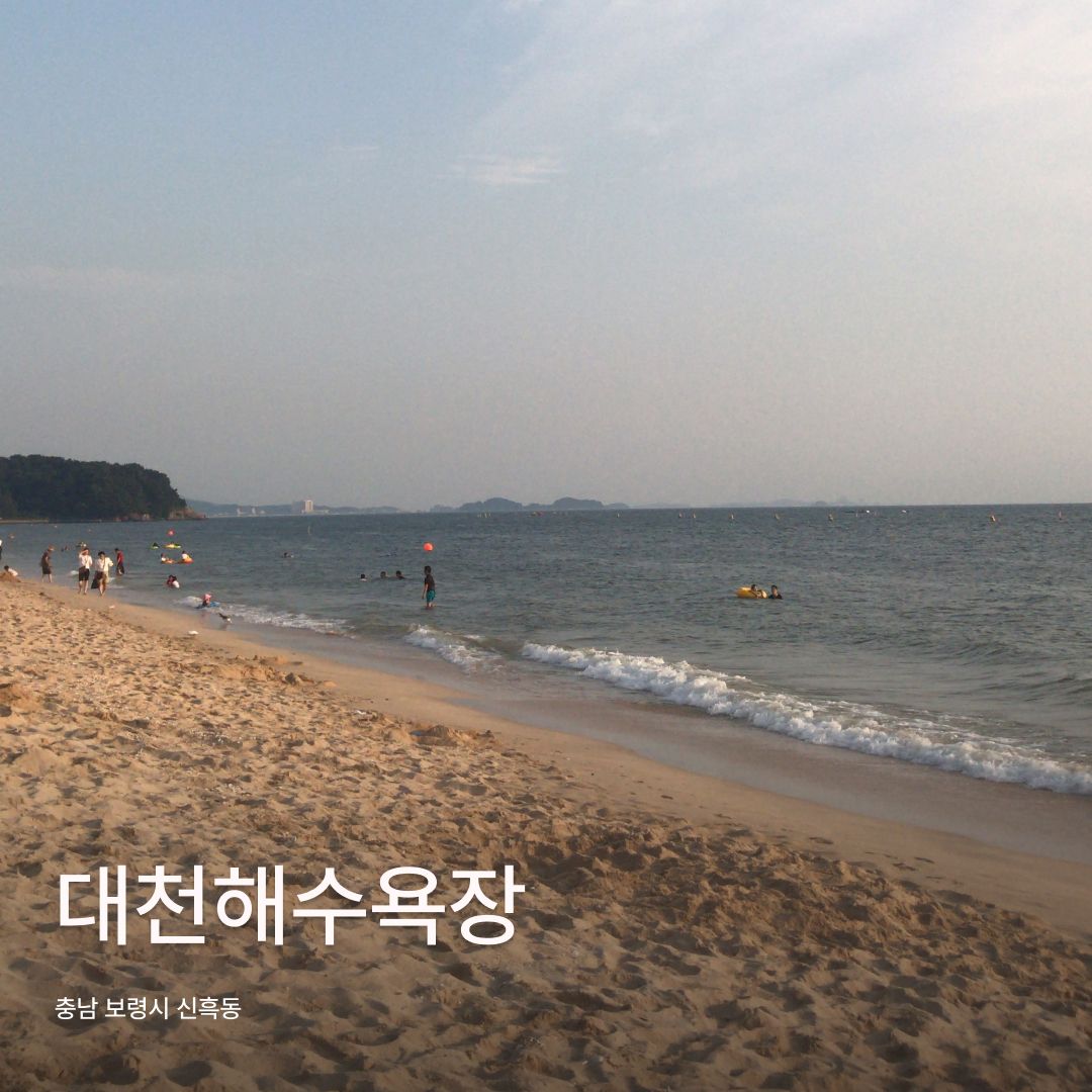 에디터