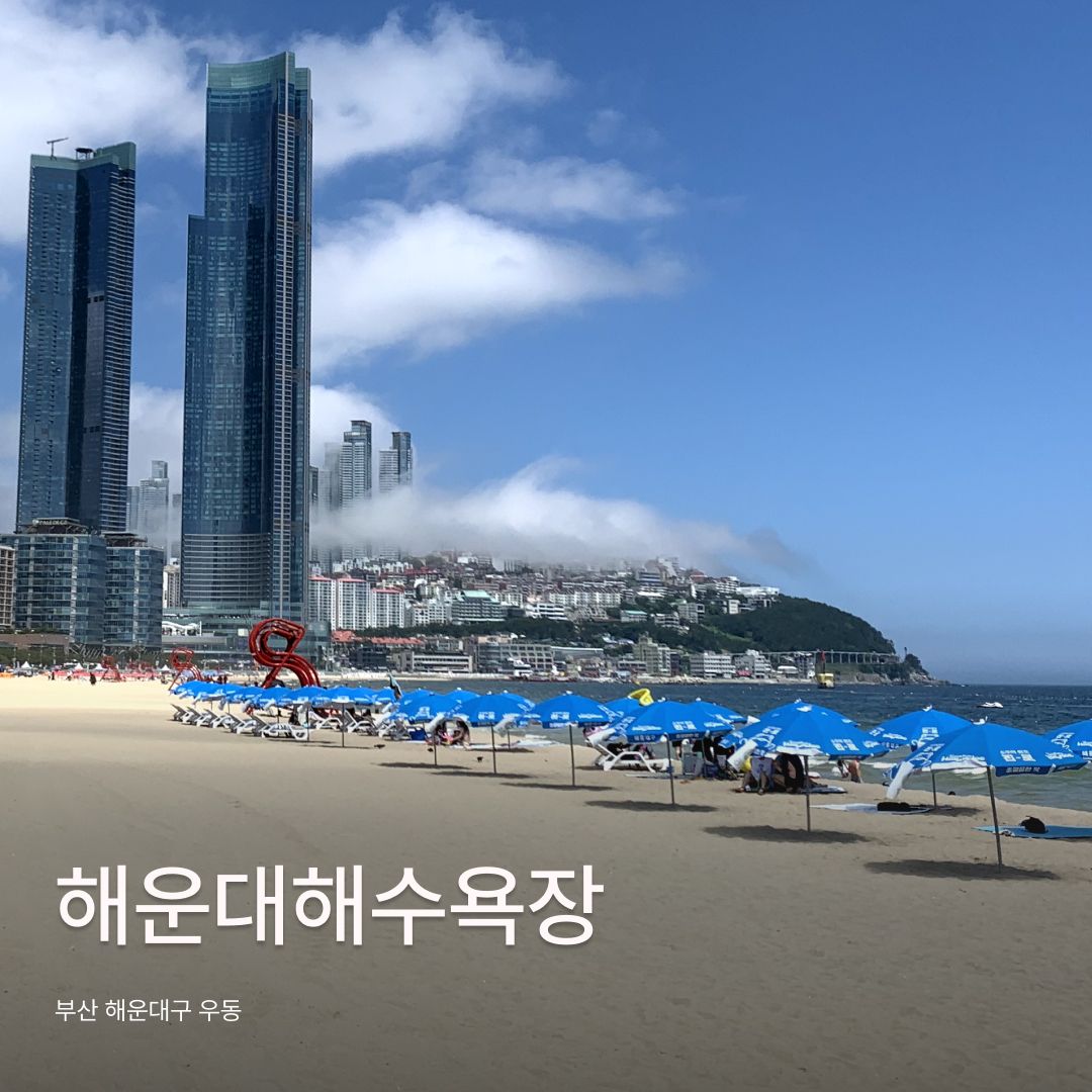 에디터