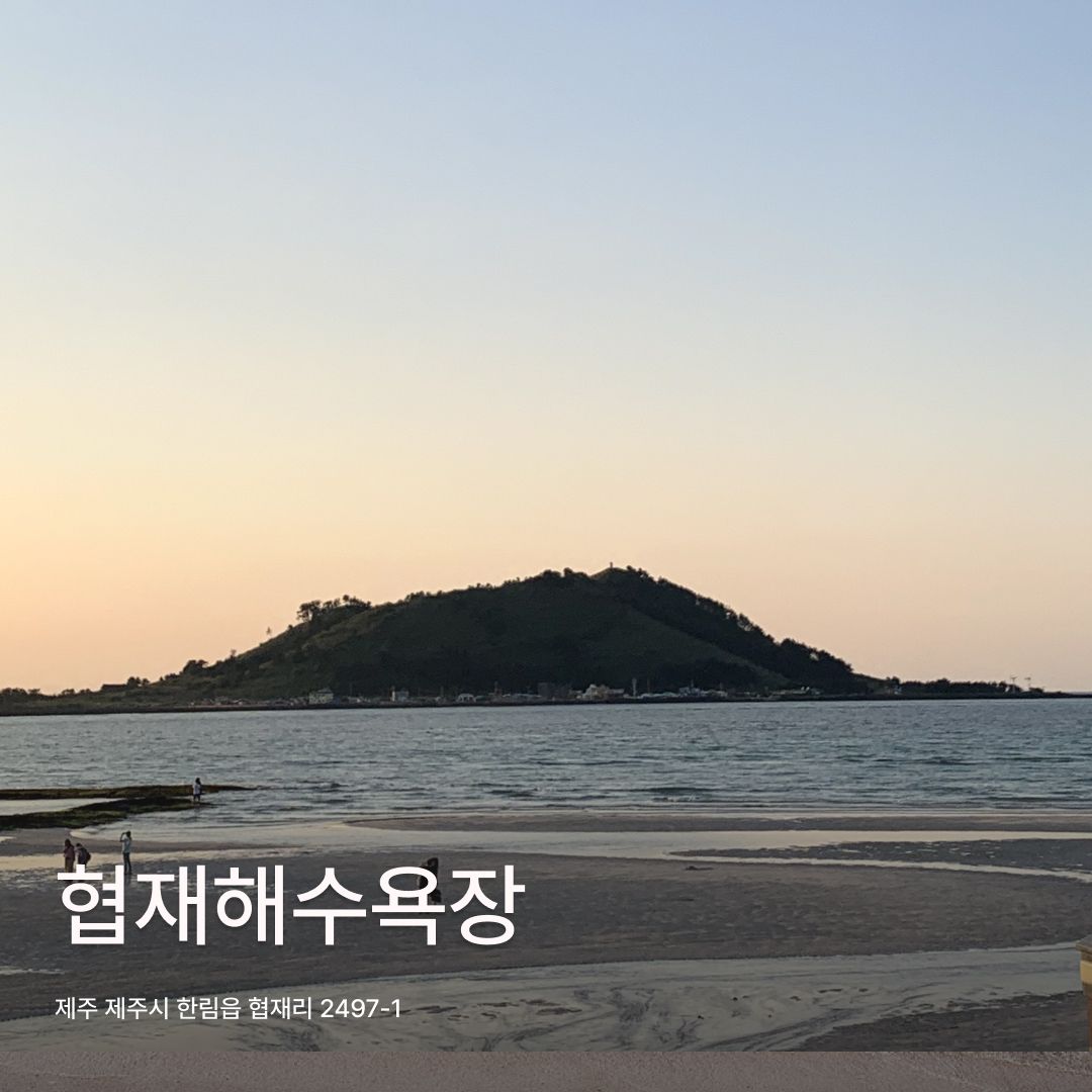에디터