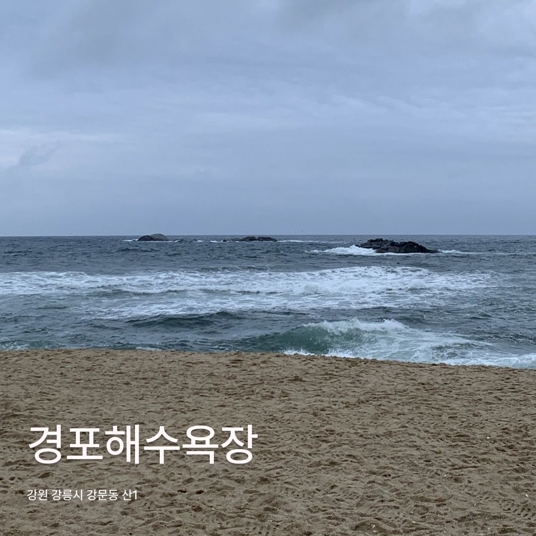 에디터