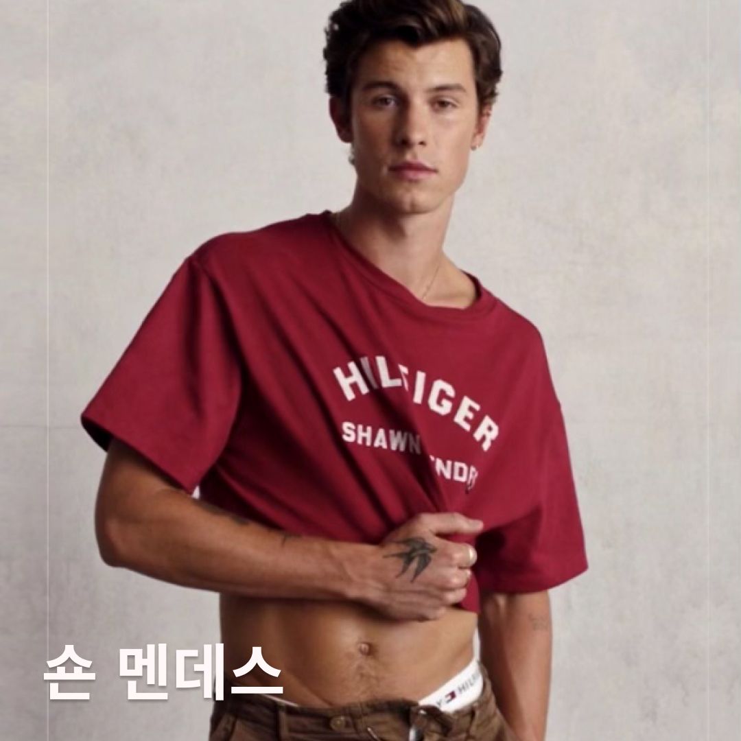 @shawnmendes