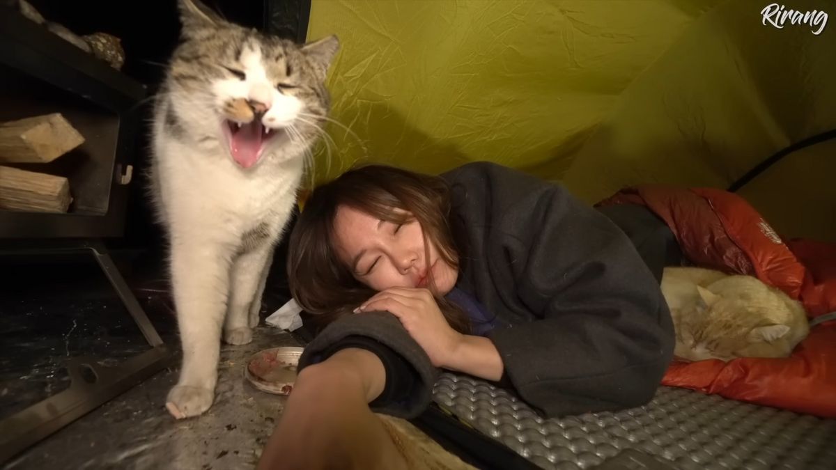 ‘그 어느 때보다 따뜻했던 겨울 캠핑’ 영상. 텐트에 침투한 고양이들을 품어주는 따뜻함, 그리고 음식과 술에 누구보다 진심이며 복스럽게 잘 먹는 모습 때문에 리랑온에어 최고 인기 콘텐츠로 등극한 영상이다.