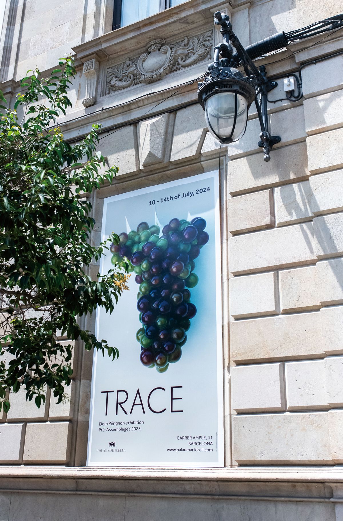 팔라우 마르토렐에서 열린 <Trace : Pré-Assemblages 2023>의 대표 이미지는 베레종 단계의 피노 누아였다.