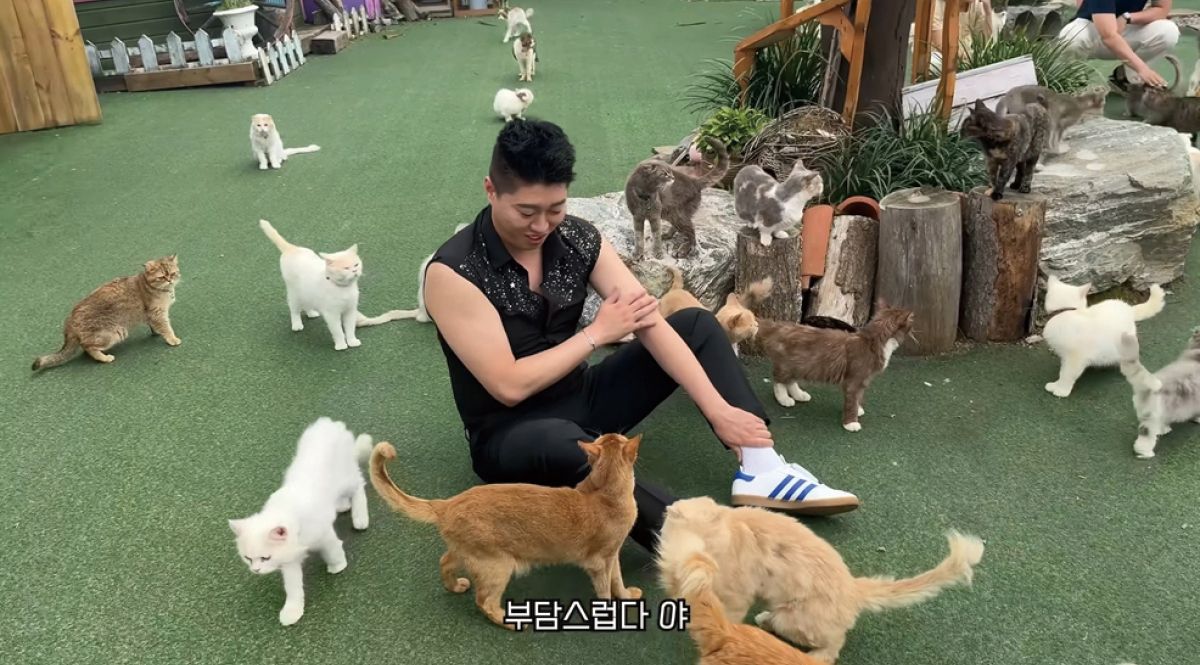 ‘고양이 스타 만들어주는 남자’ 영상. 보호소를 찾아 다양한 고양이들과 커뮤니케이션을 하는 영상으로, 고양이들이 저절로 따르는 송하빈 ‘묘화살’의 진면목을 엿볼 수 있다. 