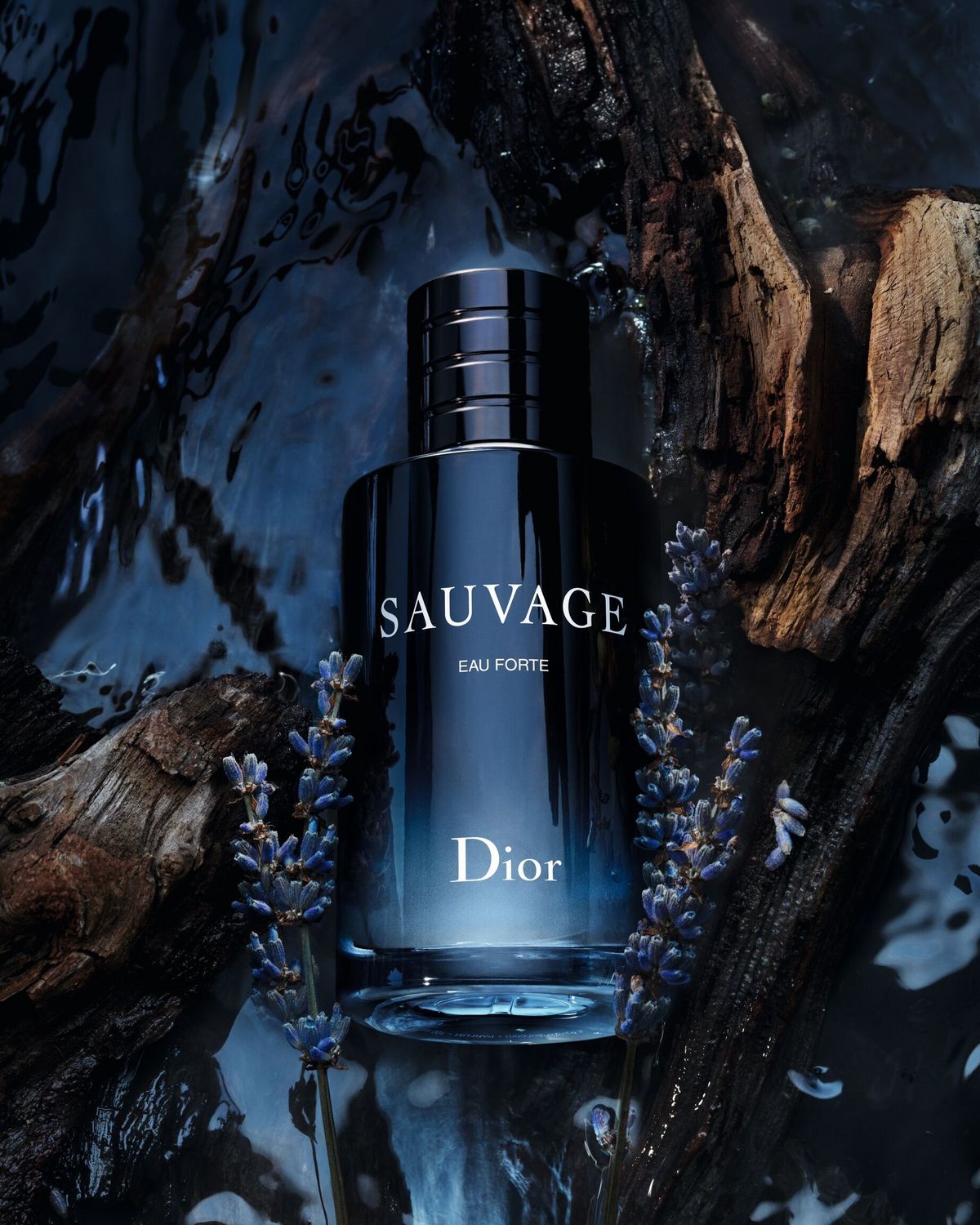 Christian Dior Parfums