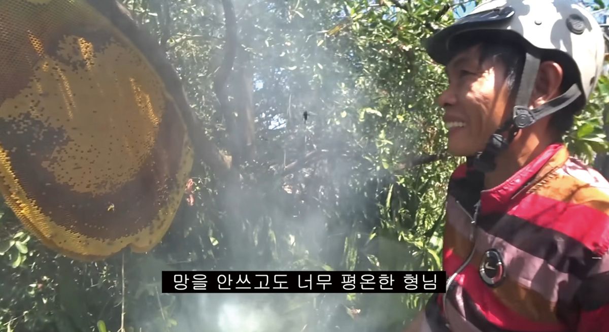 ‘한국에서는 벌꿀계의 벤틀리인 목청꿀이 길가다 대충 내리면 발견되는 베트남’ 영상. 베트남의 양봉을 견학하는 영상으로, 프응은 세계의 양봉과 꿀에 대한 콘텐츠도 만들고 있으며 앞으로 좀 더 확장할 계획이다. 