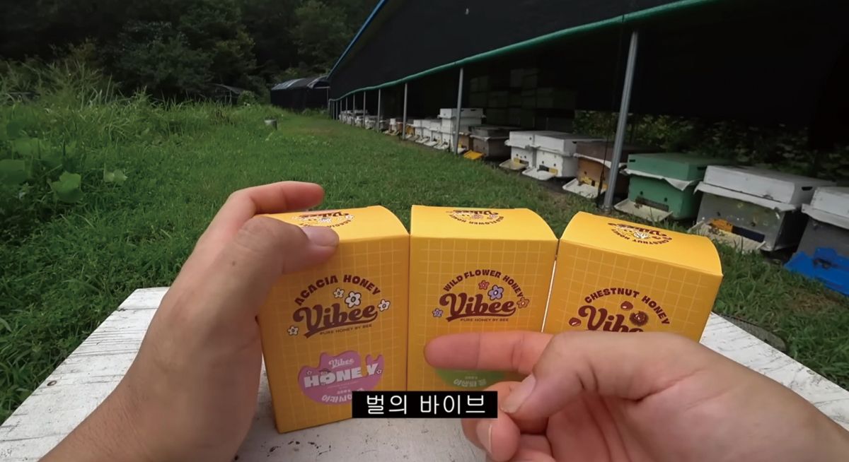 ‘2년만에 드디어 꿀파는 양봉업자’ 영상. 프응은 최근 ‘바이비’라는 꿀 브랜드를 론칭했다. 온라인 숍 및 부산 기장 소재 카페 겸 오프라인 매장을 오픈했으며, 동료 양봉업자들과 협업해 만든 다양한 상품을 판매하고 있다. 