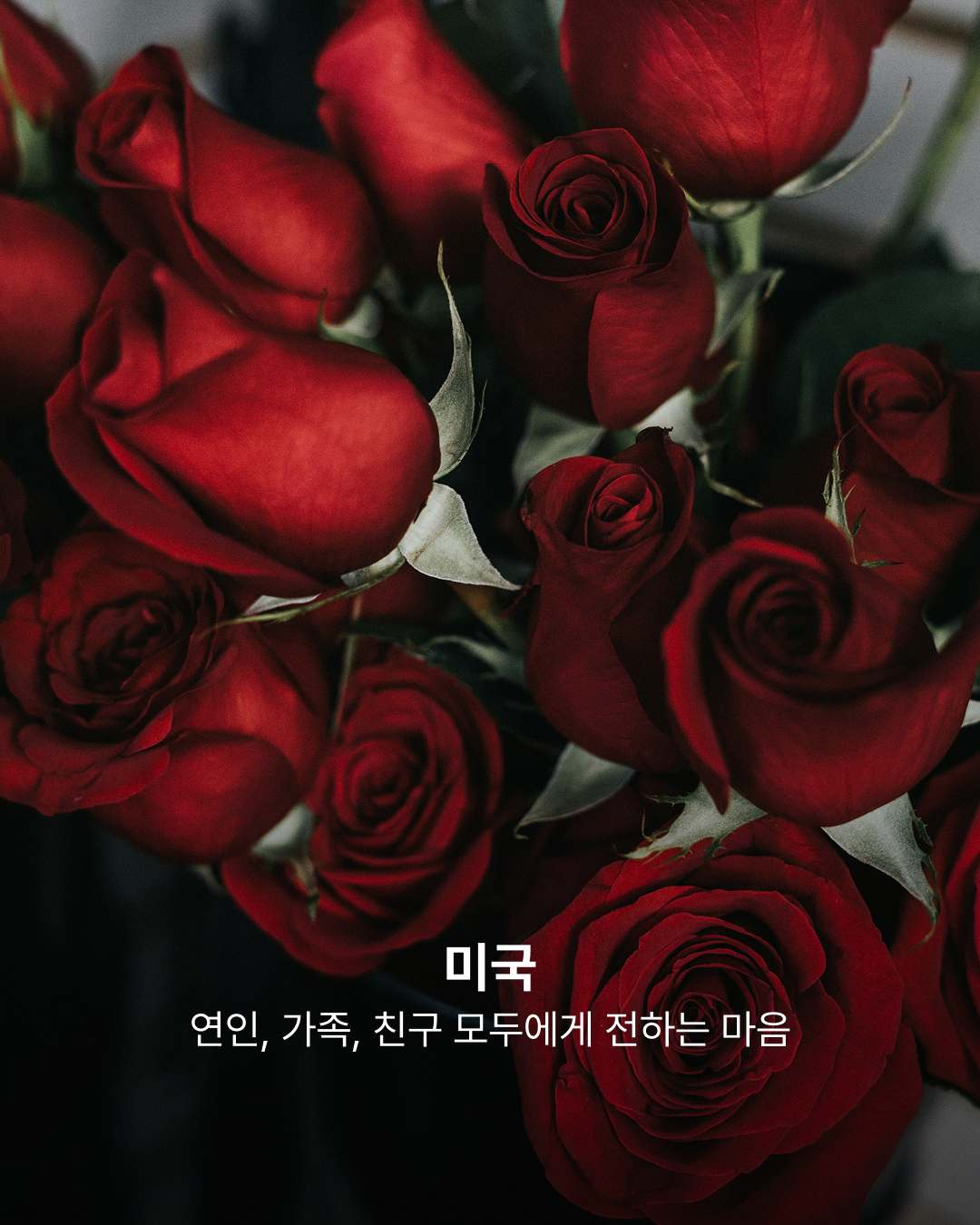 미국의 사랑 표현 방법