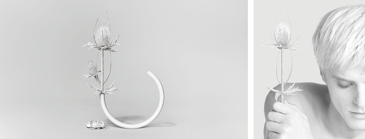 Composition N°5 – Thistles, Rhinoceros Beetle