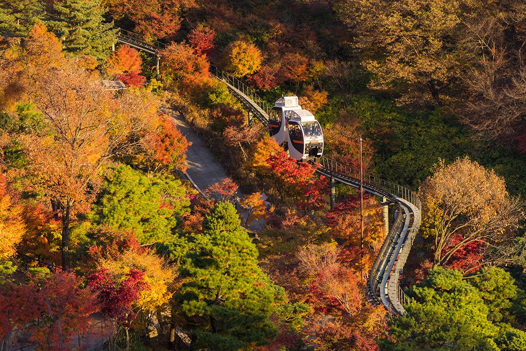 네이버지도 업체 등록/ 화담숲