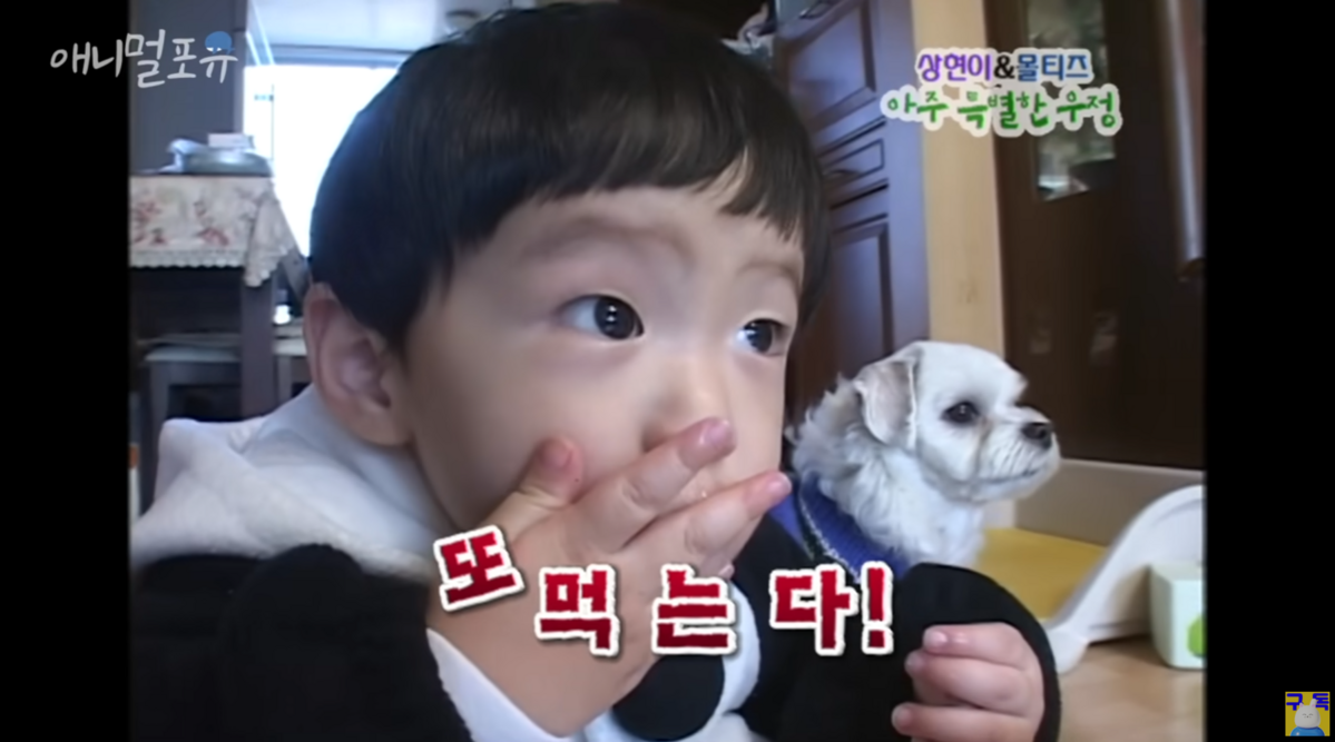 KBS동물티비 공식 유튜브