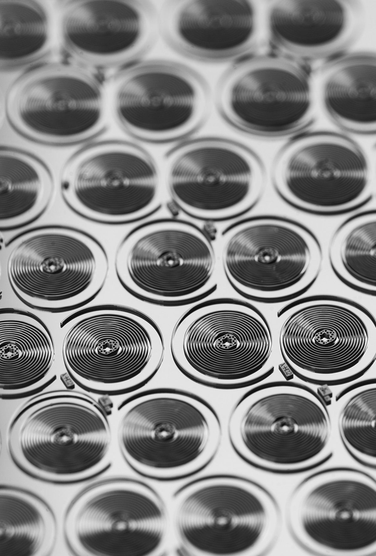 가벼운 무게로 충격을 흡수하며 뛰어난 항자성을 자랑하는 나선형 구조의 TH-카본스프링.