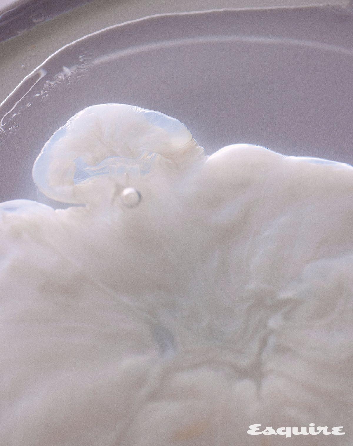 피부 노폐물과 피지를 녹이는 어성초 포어 컨트롤 클렌징오일 200mL/2만2000원 아누아.