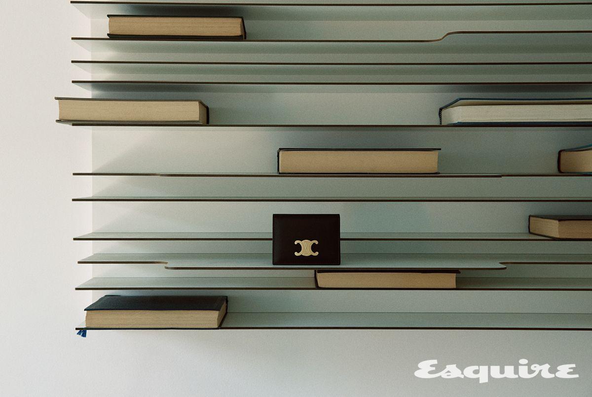 샤이니 카프스킨 바이폴드 카드 지갑 가격 미정 셀린느.