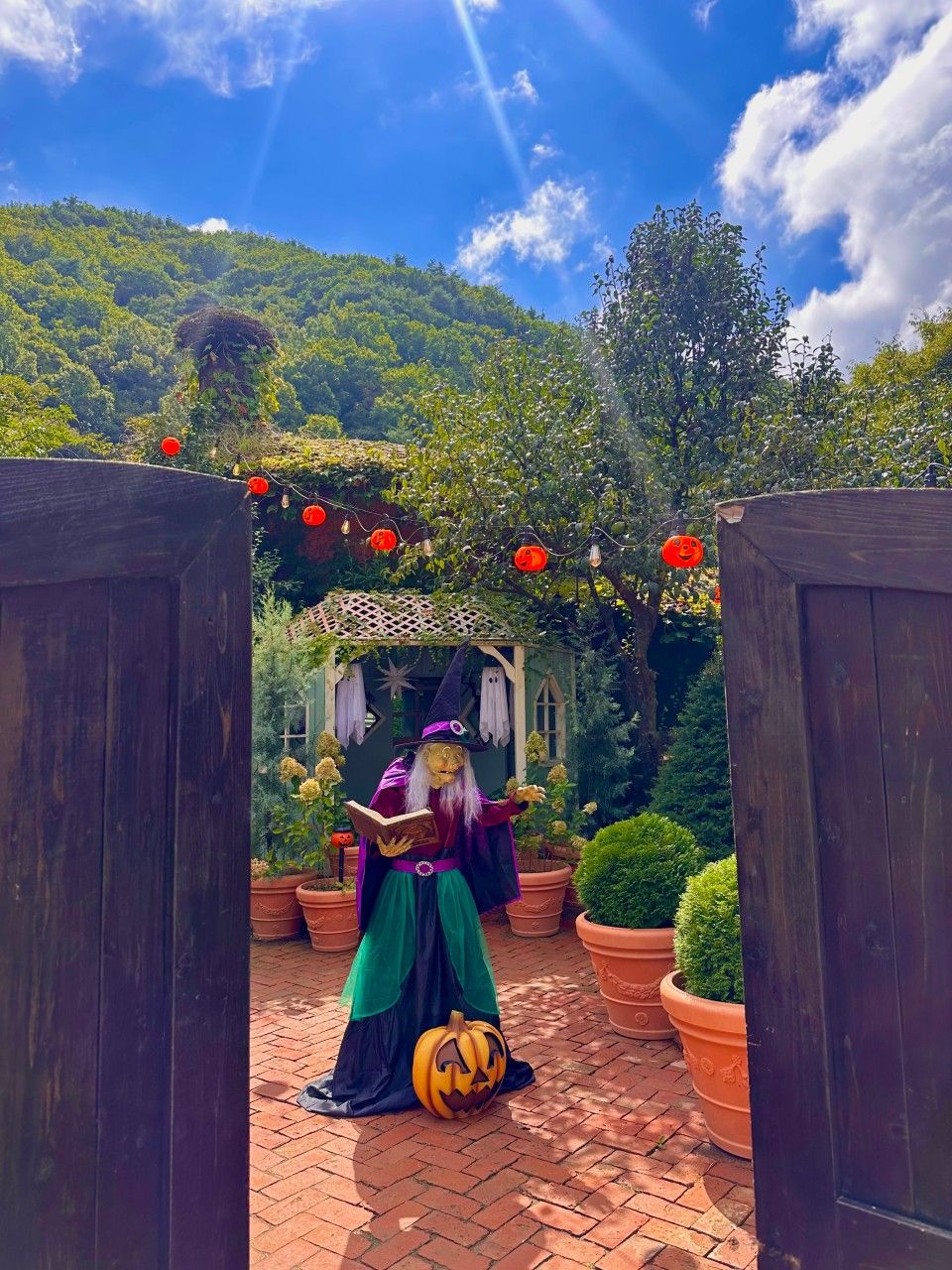 네이버지도 업체 등록/ 리베볼