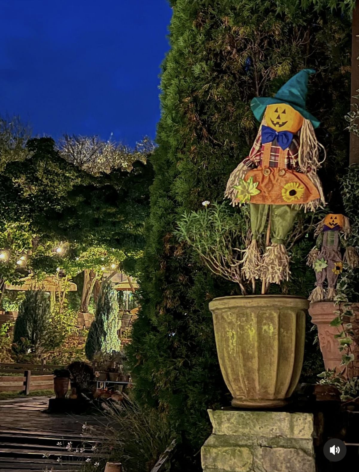 인스타그램 @thefore_4/ 더포레