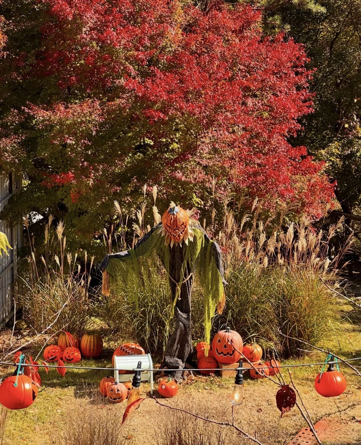 네이버지도 업체 등록/ 리베볼