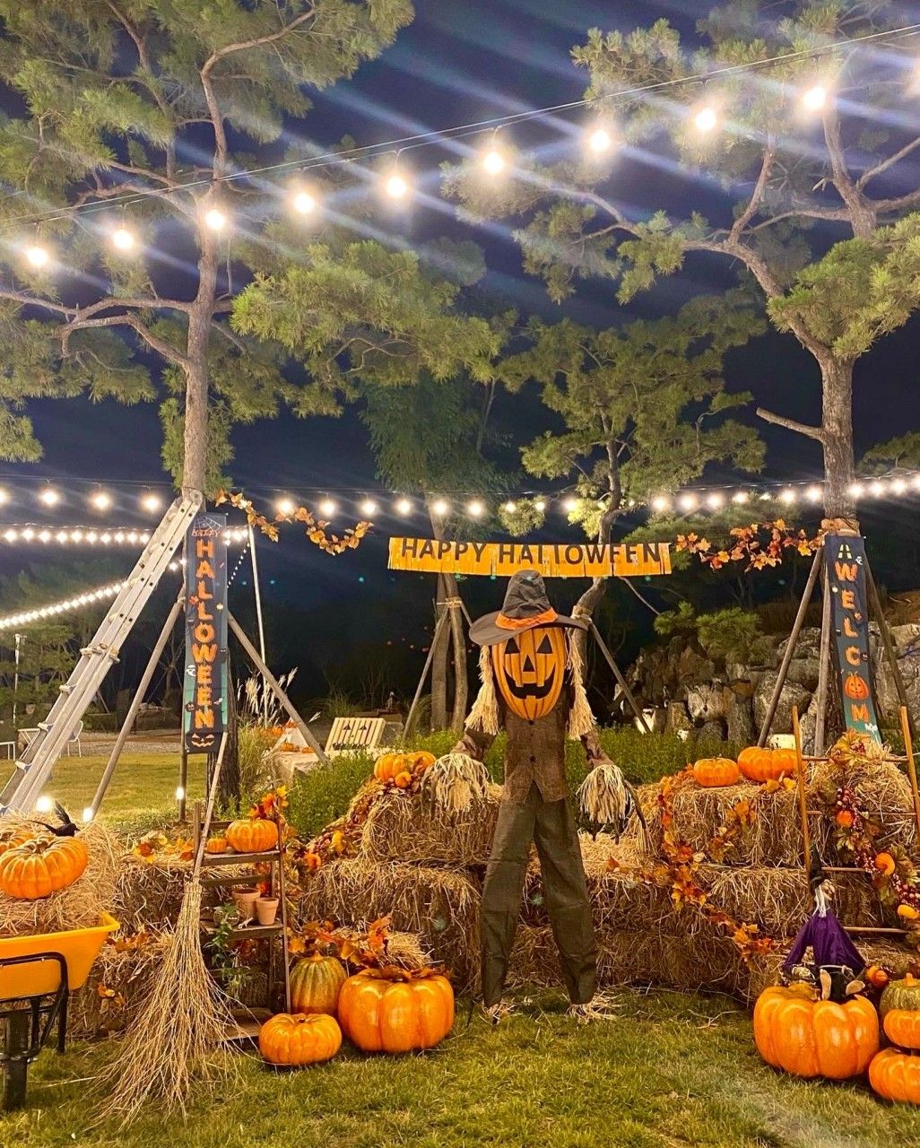 네이버지도 업체 등록/ 카페 밀마