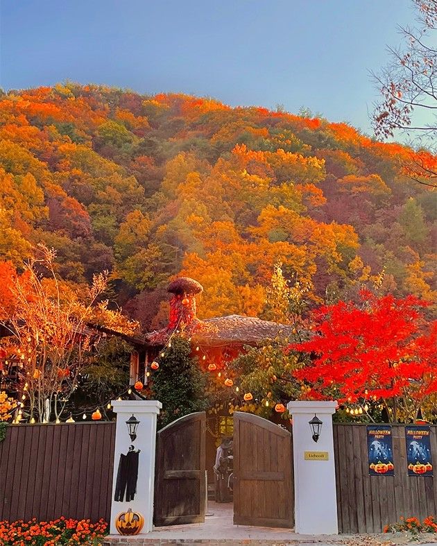 네이버지도 업체 등록/ 리베볼