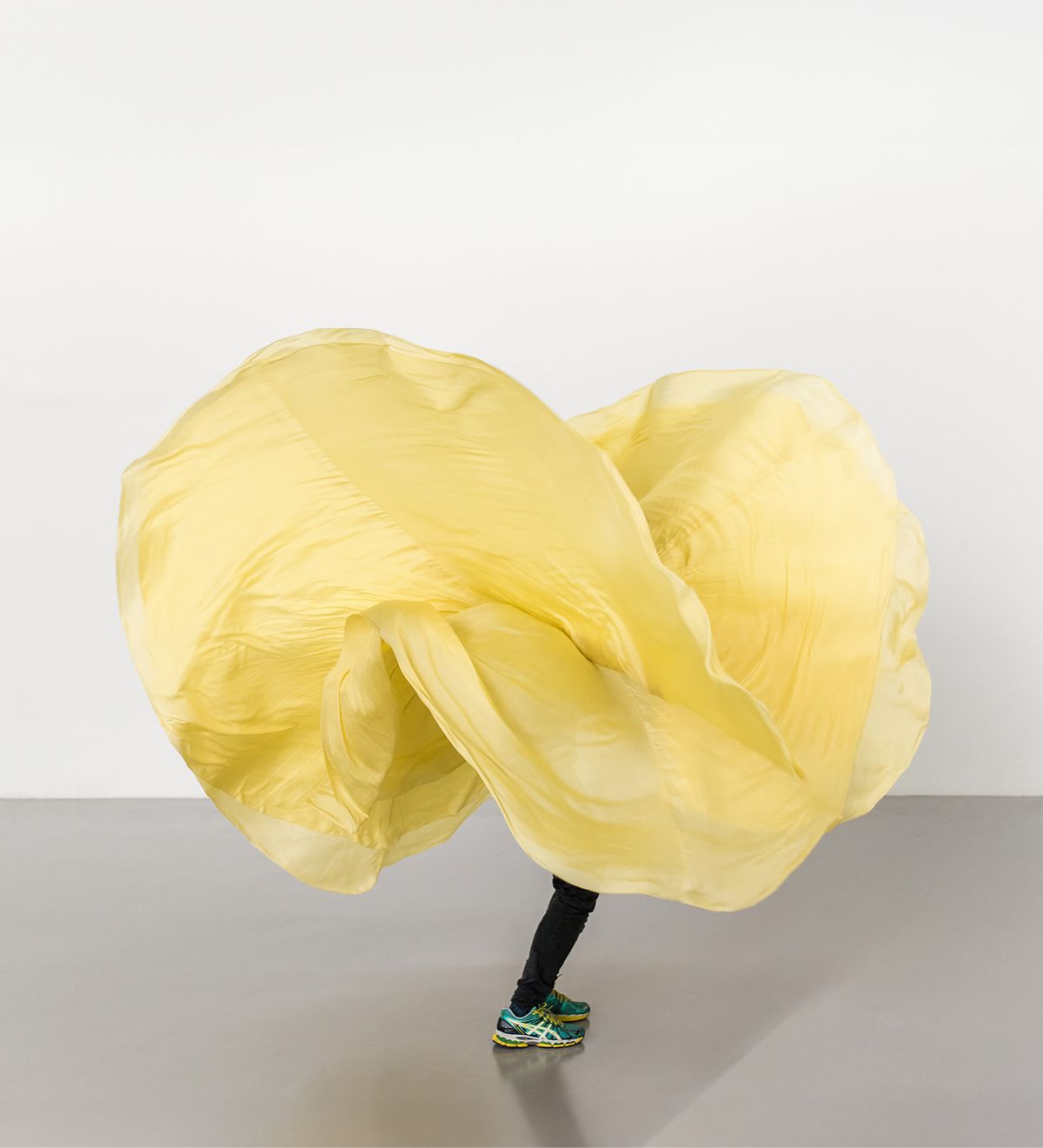 <로이 풀러: 리서치>, 올라 마시에예프스카