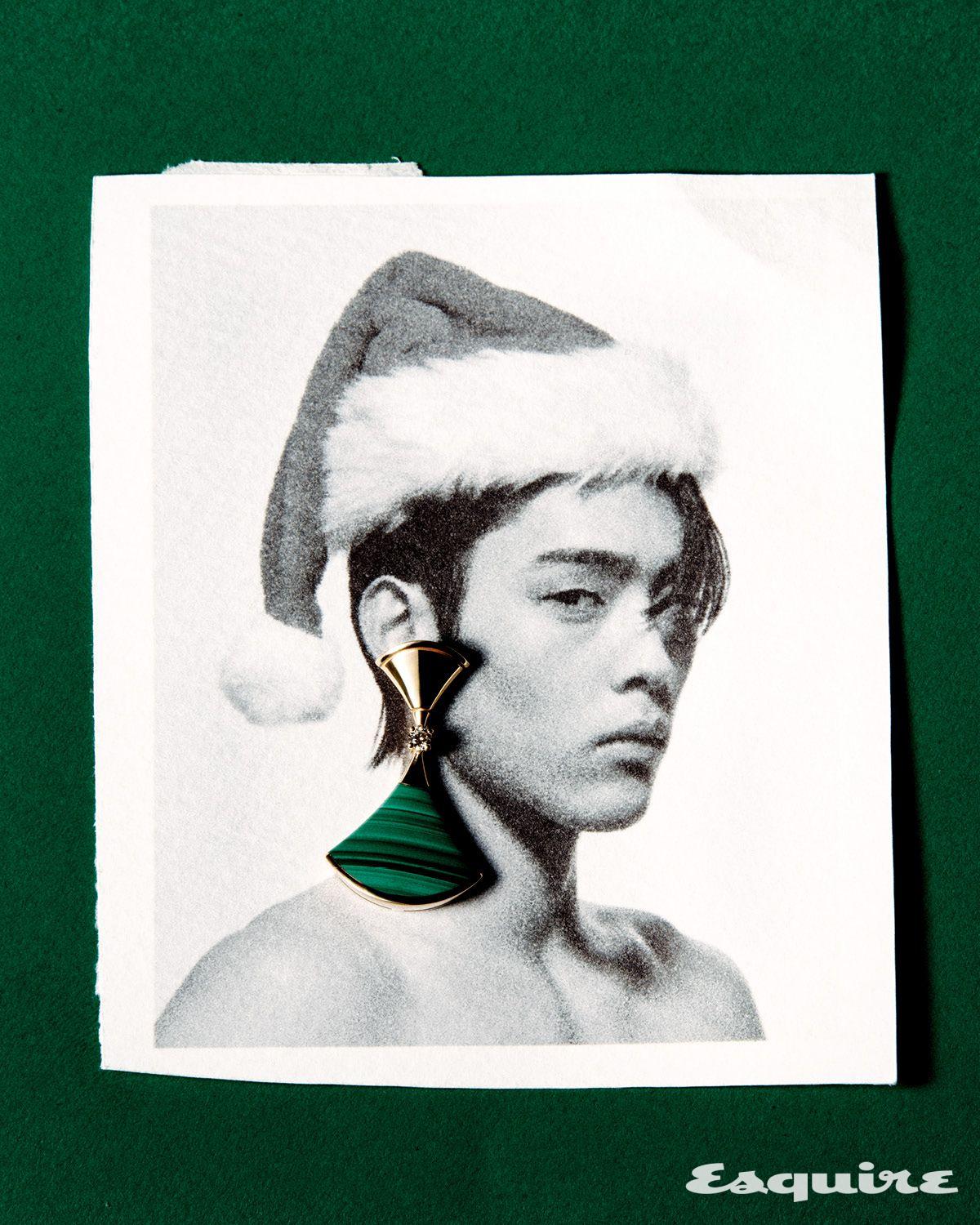 말라카이트와 다이아몬드를 장식한 디바스 드림 이어링 550만원 불가리.