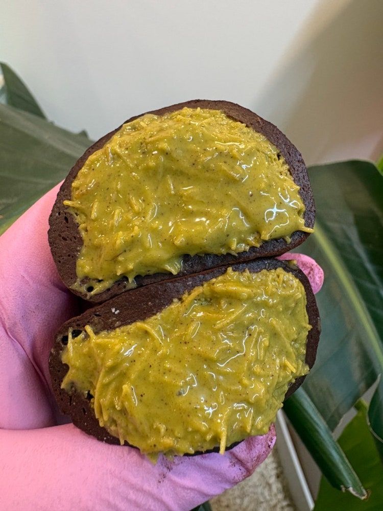 출처: 인스타그램 @crumbly.seoul 