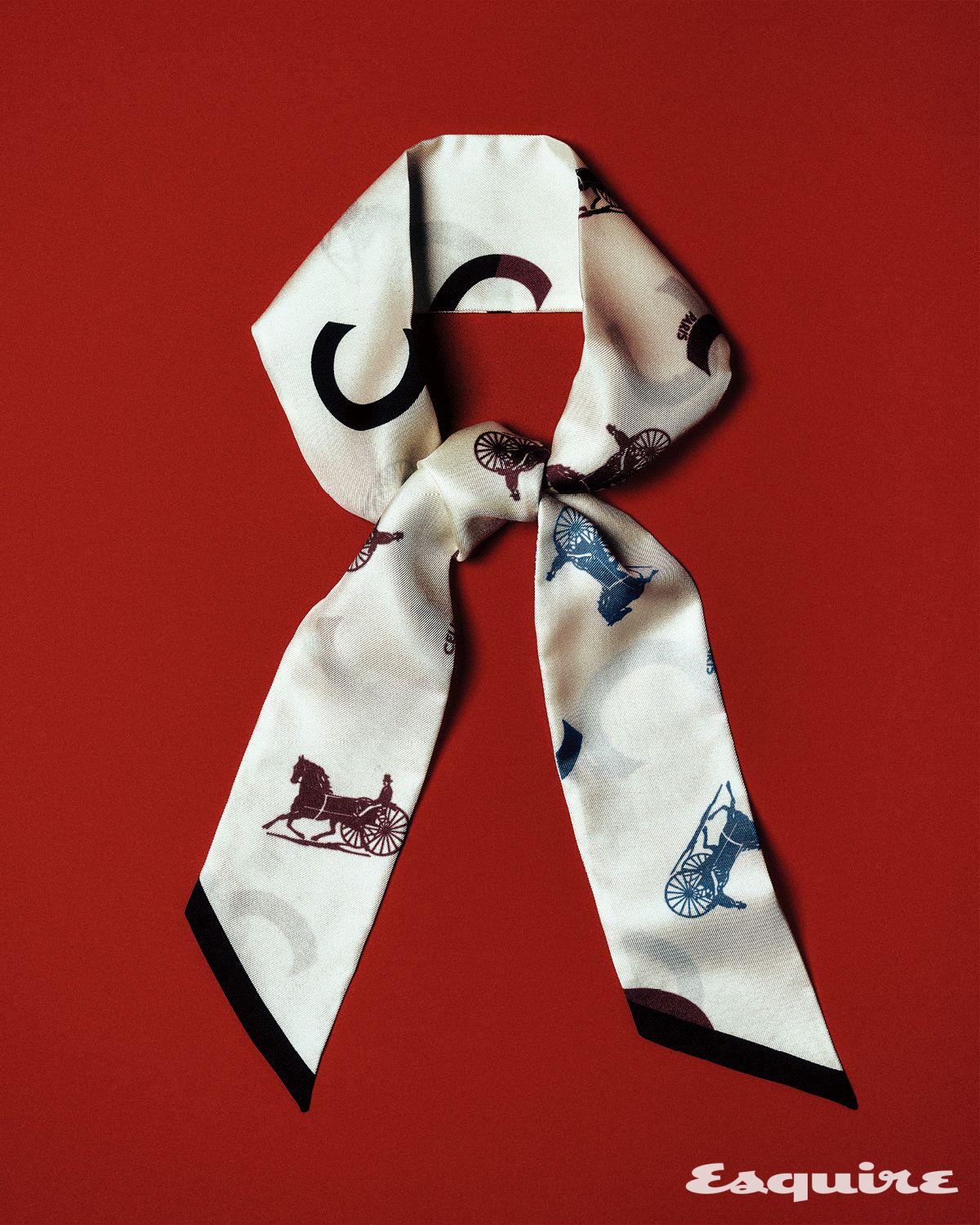 실크 트윌 라발리에르 가격 미정 셀린느.