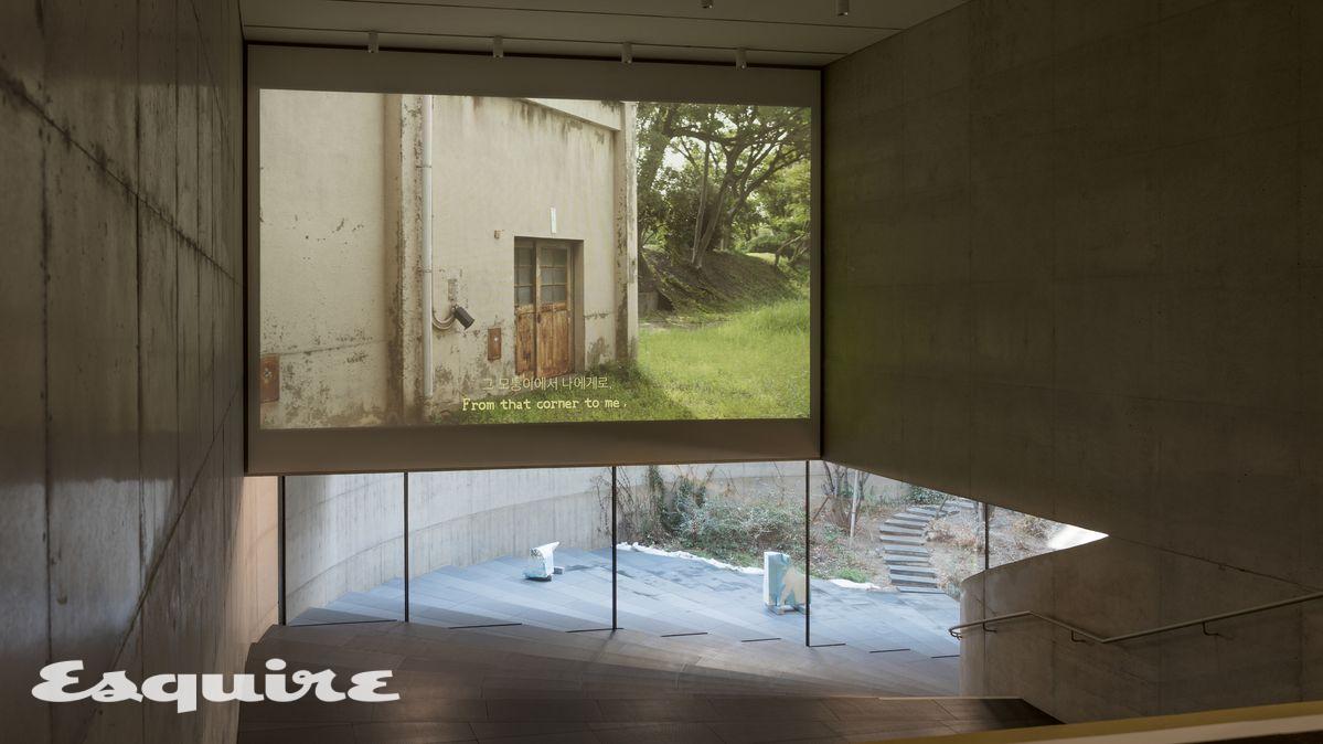 이아람 작가의 작품 '밟힌 벌레마다 별이 된다'(2025)의 전시 전경.