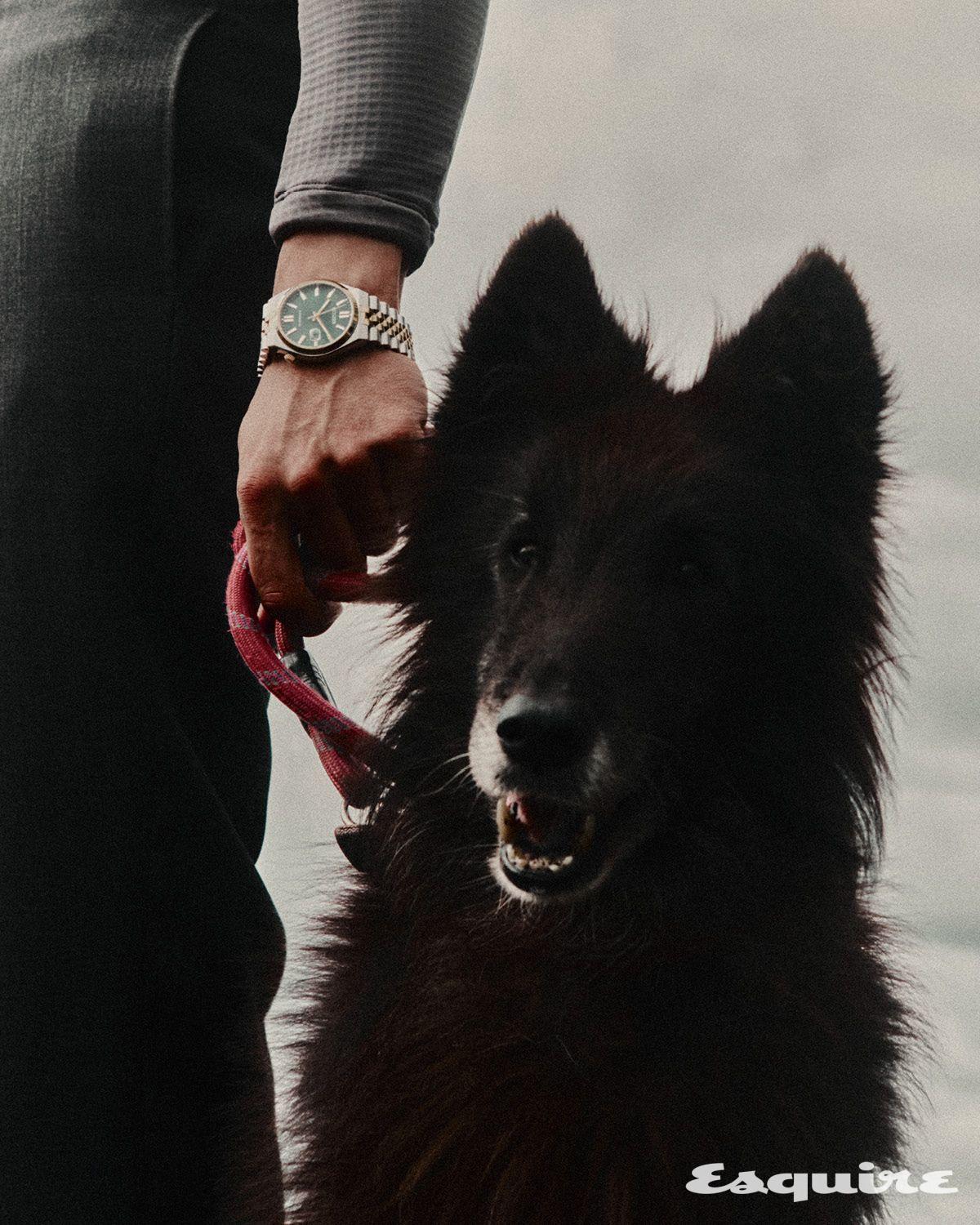 이미지 캡션 영역