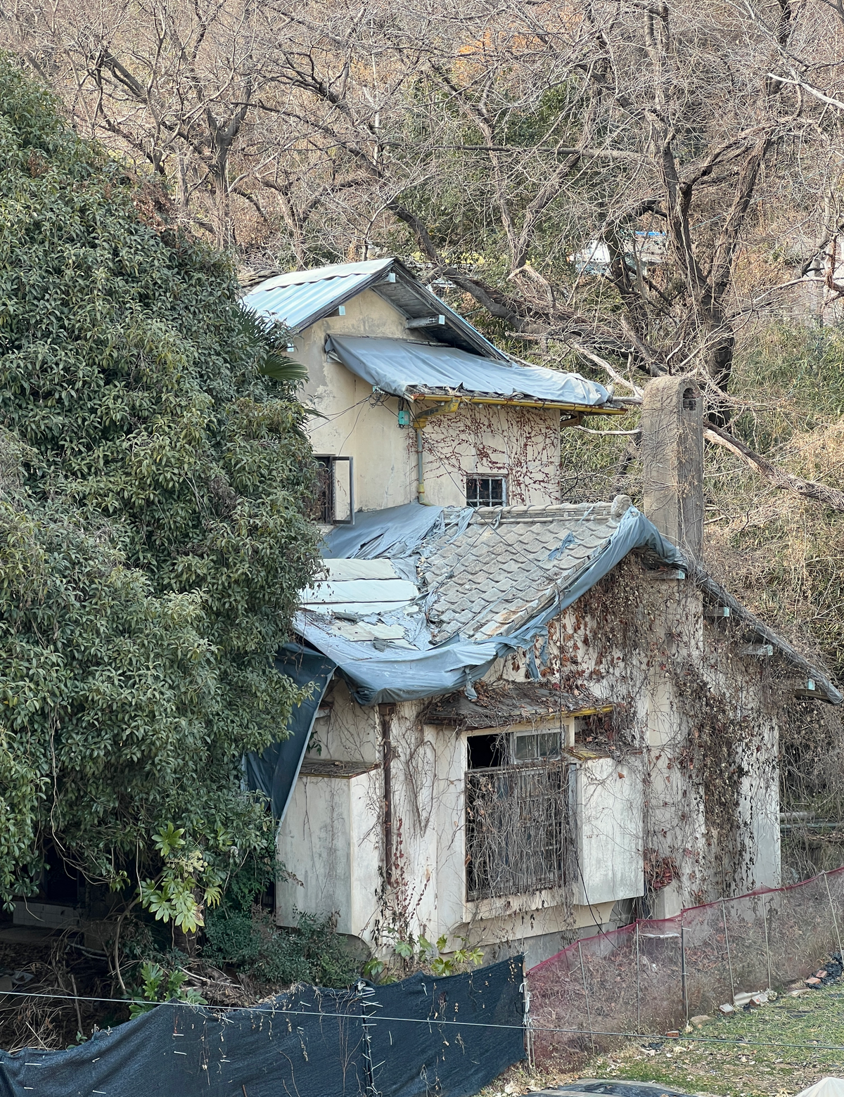 소설가 지하련이 기거하며 작품을 집필했던 마산의 산호리주택 외관(원본 사진) / 이미지 출처: 김예슬 작가(@ysk.kr)