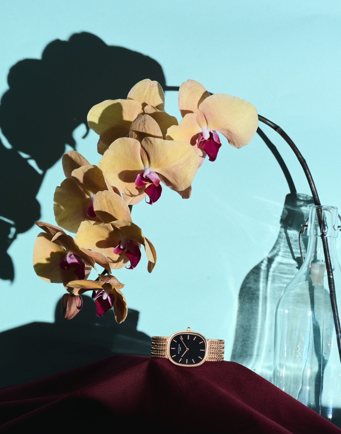 골든 일립스 가격 미정 파텍 필립. 