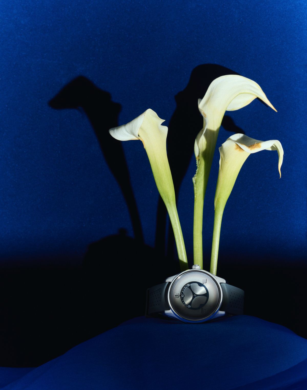 파이오니어 플라잉 아워 화이트 퓌메 가격 미정 H. 모저앤씨.