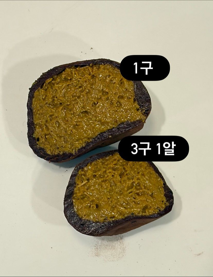 하츠투하츠 이안이 스텝들에게 선물한 '랑쿠' 두바이쫀득쿠키