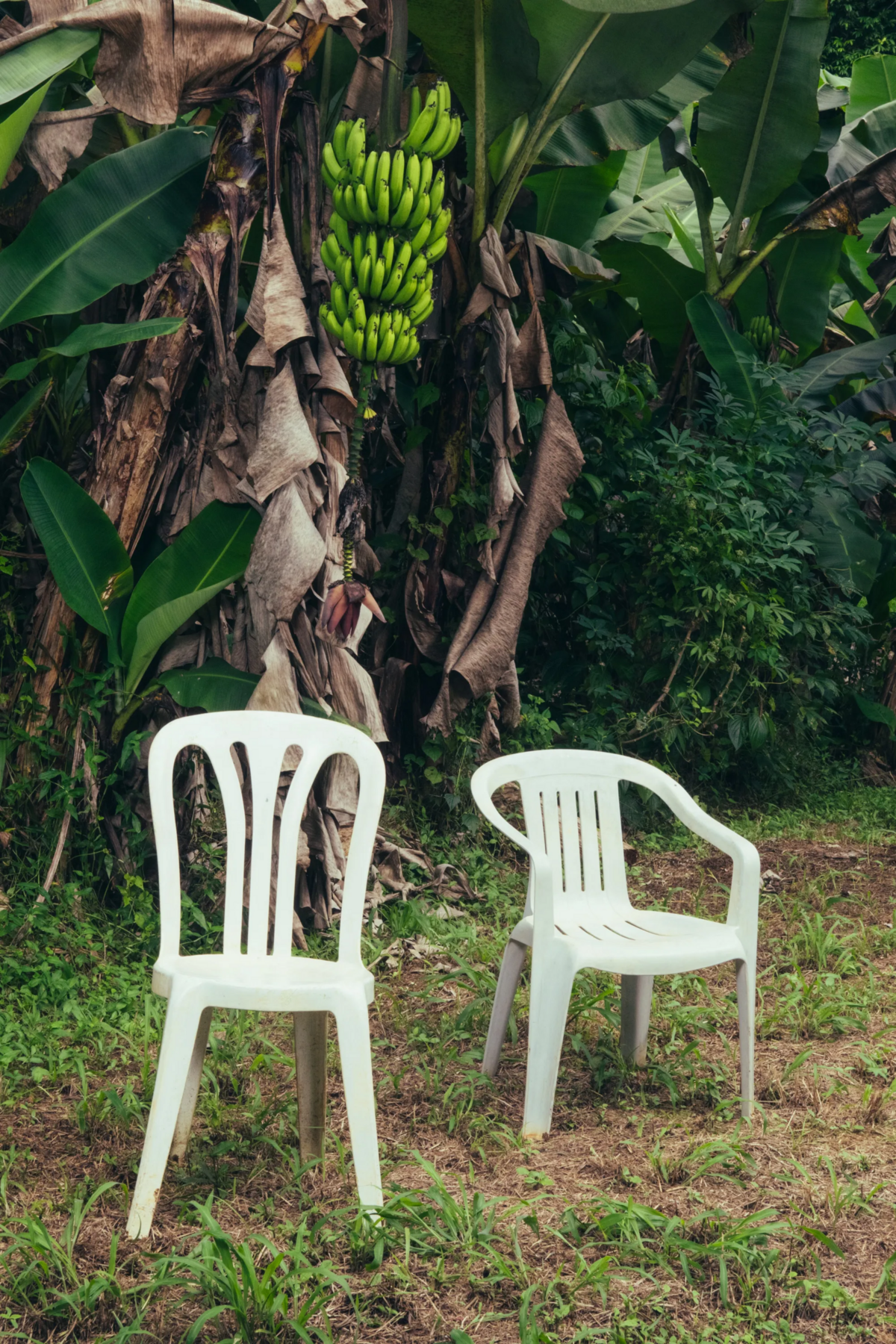 리키 마틴이 앉아 있던 의자를 통해 선배 가수에 대한 존경심을 표했다. / 출처: [DeBÍ TiRAR MáS FOToS]의 앨범 커버