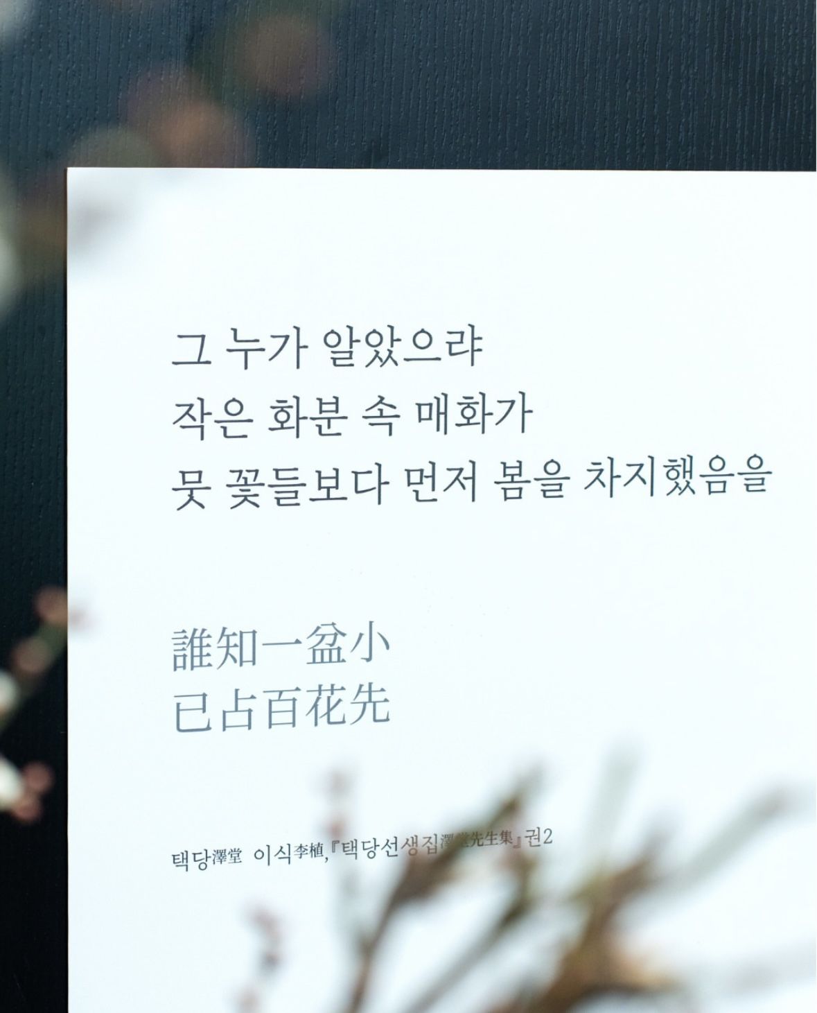 SNS 이벤트도 준비되어 있다. / 출처: 국립중앙박물관 인스타그램