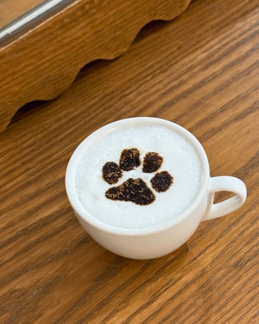 메종드소시송에서는 반려견을 위한 두 가지 음료 메뉴를 무료로 제공한다. / 이미지출처: 카페 인스타그램 공식 계정