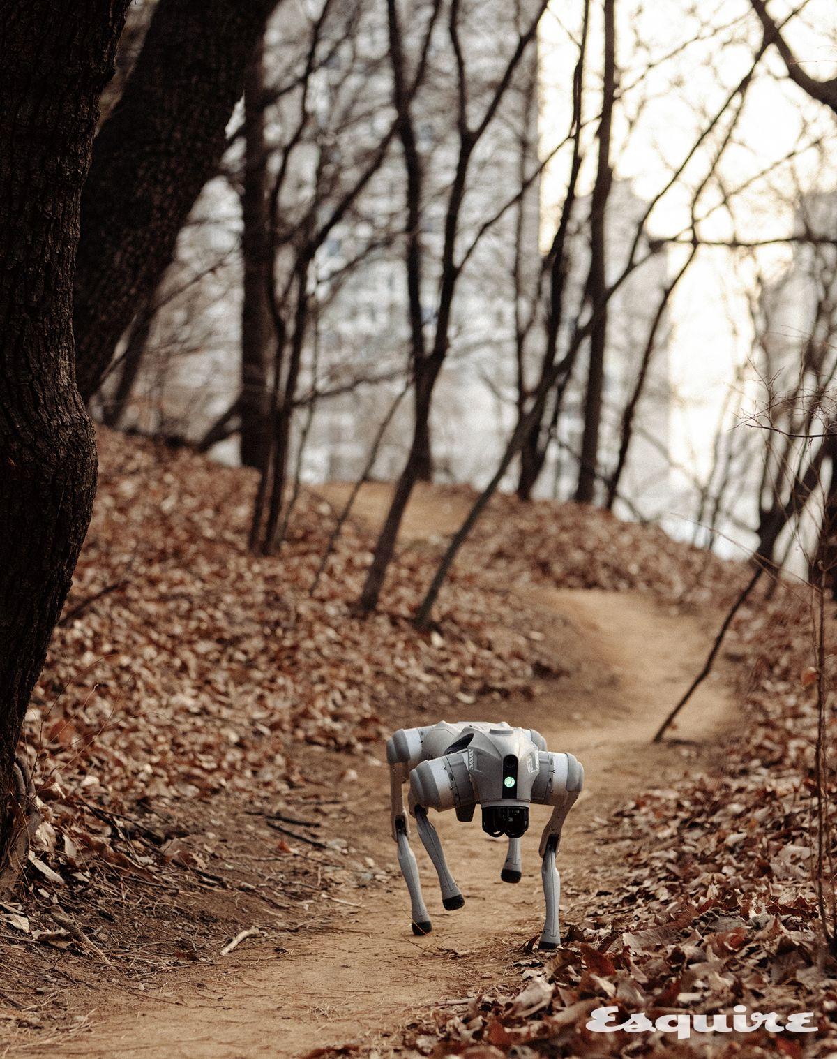 유니트리 고2 프로는 공간을 파악하고, 장애물을 회피해 걸으며, 계단을 오르거나 최대 속도 초속 3.7m 속도로 달릴 수 있다. 