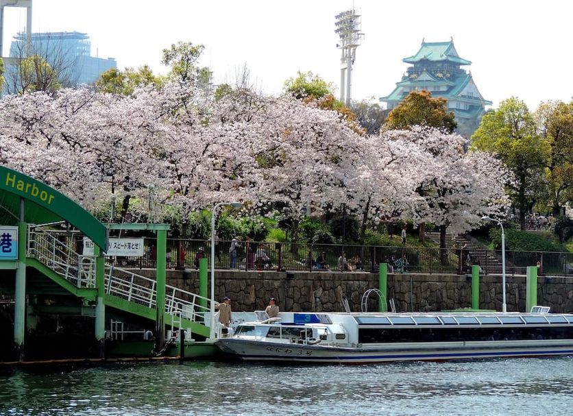 호텔 뉴 오타니 오사카 주변에서 쉽게 벚꽃을 구경할 수 있다. / 이미지 출처: 호텔 뉴 오타니 오사카