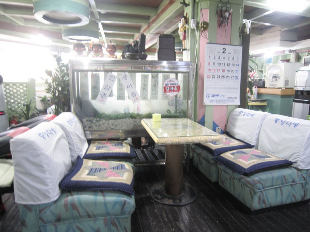 디지털 카메라로 담은 중앙다방 / 이미지 출처: X @adorablesonak