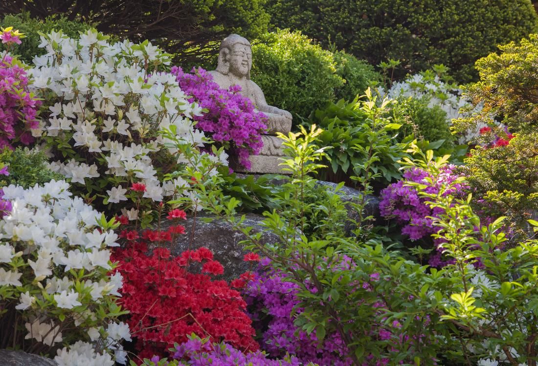 접근성이 좋고 현대화된 시설을 갖춘 유서 깊은 비구니 사찰 / 이미지 출처: 한국불교문화사업단.