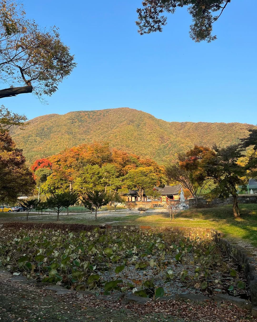 자연 속에 자리한 카페 세심다원 / 이미지 출처: 인스타그램 @ssdw_tea