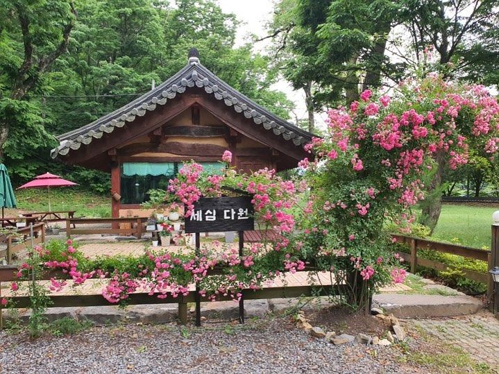 자연 속에 자리한 카페 세심다원 / 이미지 출처: 인스타그램 @ssdw_tea 