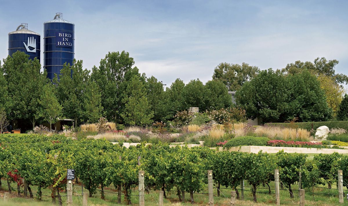 에스테이트 빈야드의 중식에 아름다운 공원과 거대한 아트 피스들이 곳곳 자리하고 있는 버드 인 핸드 와이너리는 하나의 거대한 비티컬처 콤플렉스다. 