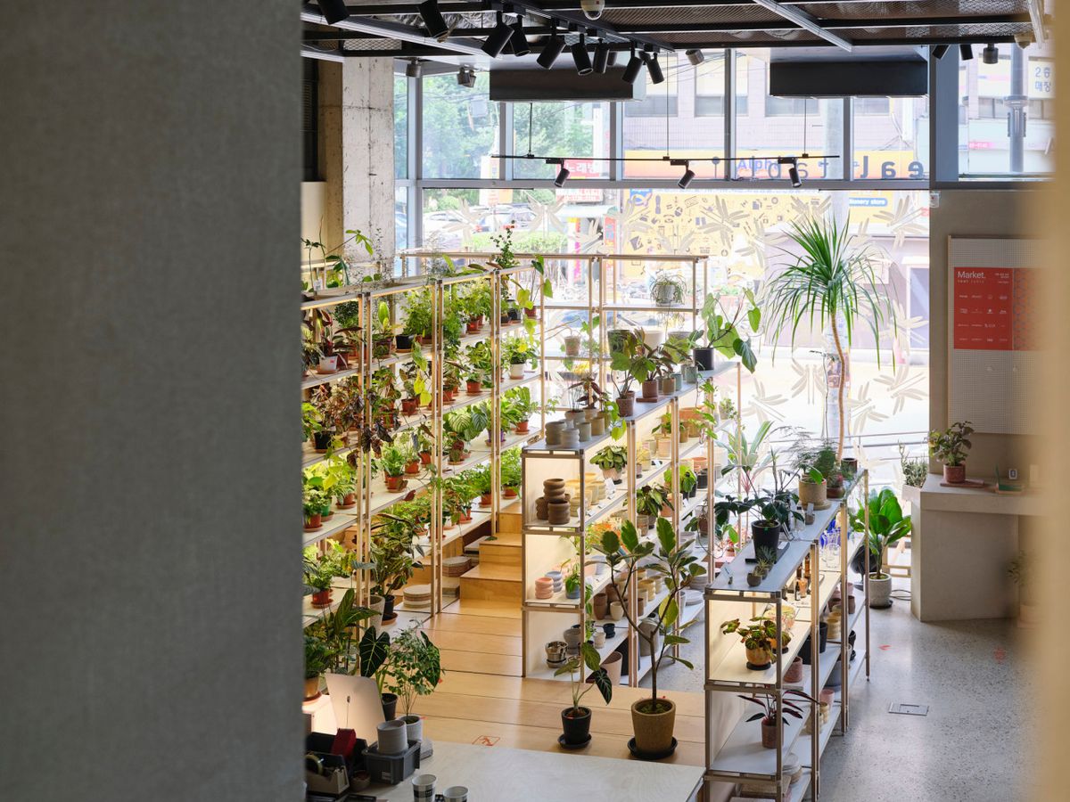 틸테이블은 식물 생활의 모든 것을 함께한다. / 출처: 네이버지도 업체 제공