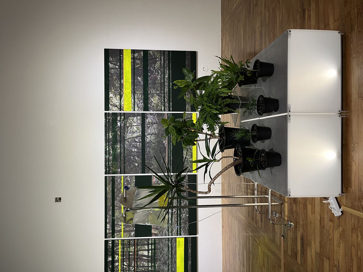 대전 서구 인근에 위치한 전시공간 모습 / 이미지 출처: 필자 촬영