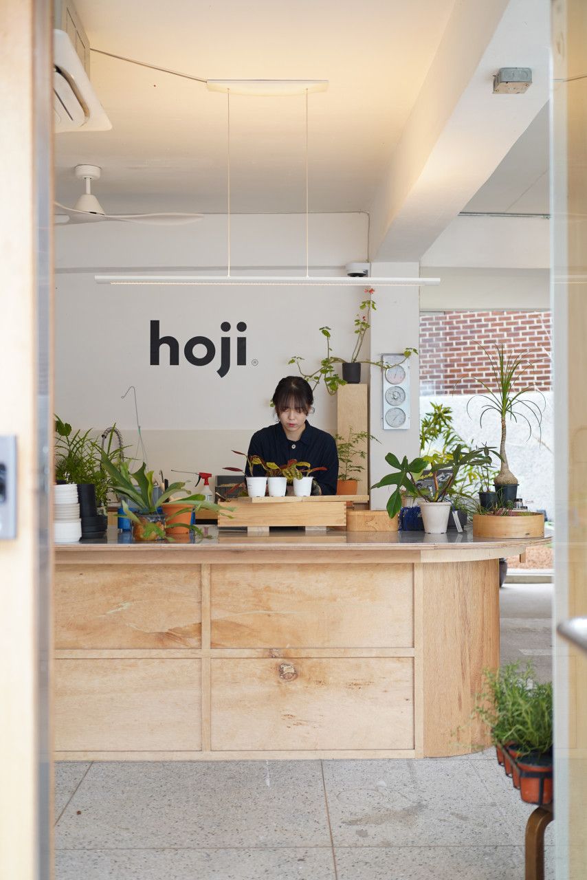 호지는 식물과 함께하는 가드닝 일상을 만들어간다. / 출처: 네이버지도 업체 제공