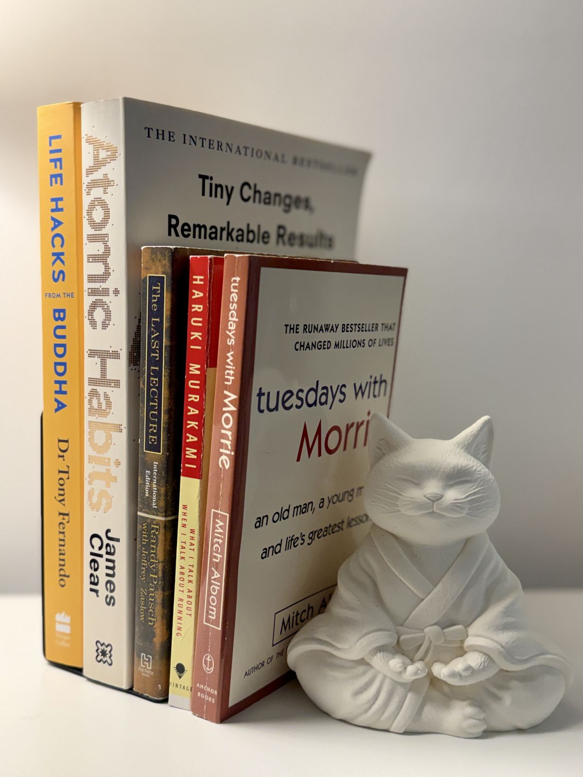 직접 읽고 추천하는 자기계발 영어 원서 5권 / 이미지 출처: 필자 촬영